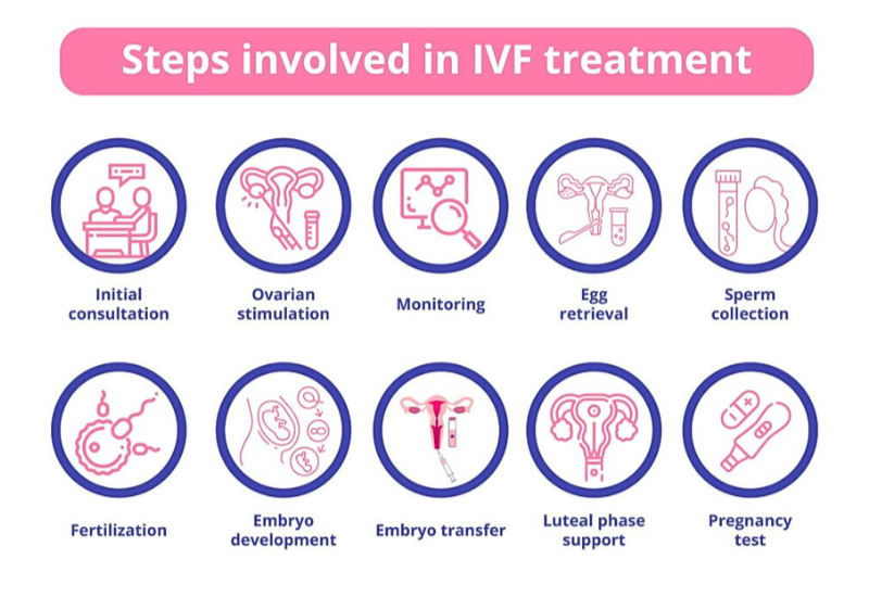 IVF Treatment Procedure