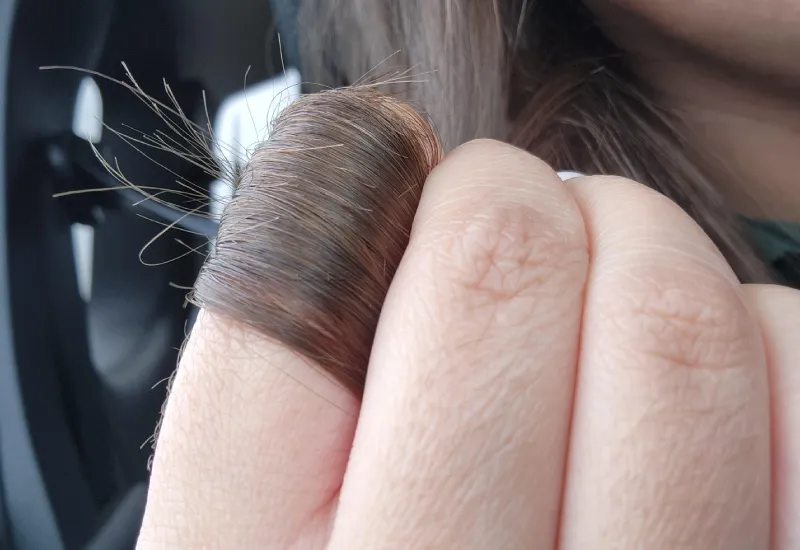 split ends causes