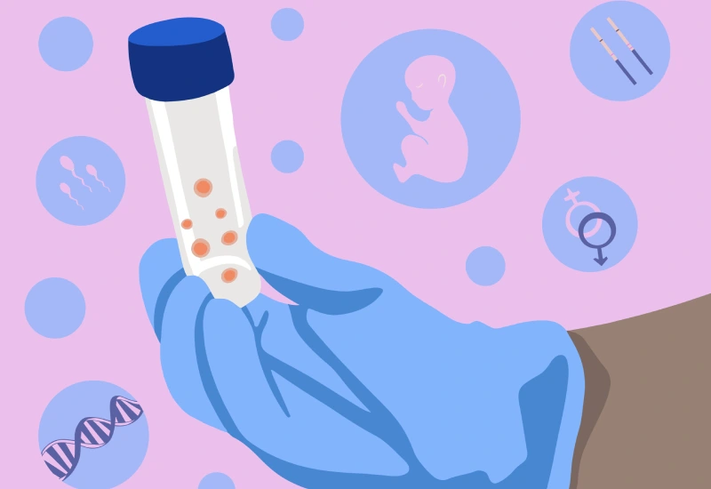 Egg Donation History