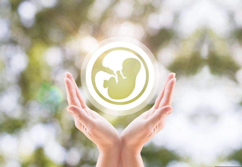 Egg Donation for Foreigners