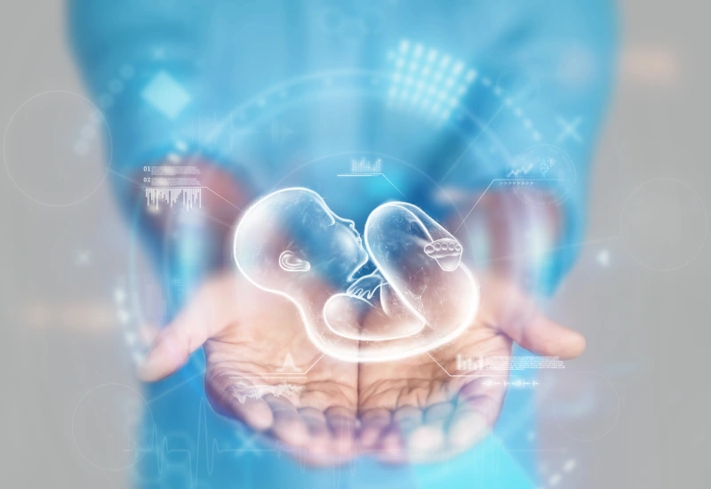 Egg Donation in Iran